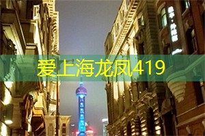 捕捉瞬间：上海的摄影展