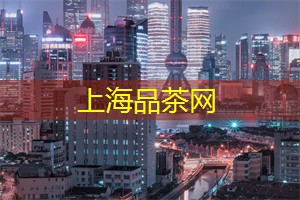 打卡夜间观光巴士：一览城市风光