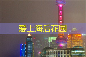 温馨回忆:在上海的市集游览 温馨回忆:在上海的市集游览